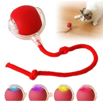 💥JUGUETE INTERACTIVO PARA GATOS