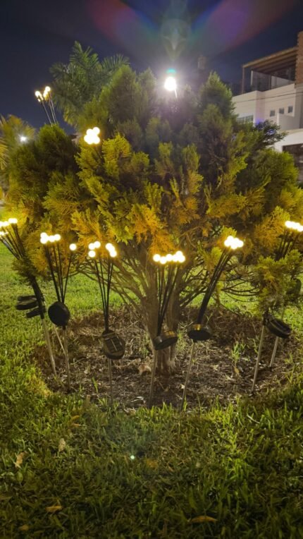 ✅LUCES PARA JARDINERIA