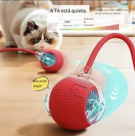 💥Pelota De Juguete Automática Recargable Por Usb Para GATOS Y PERRO